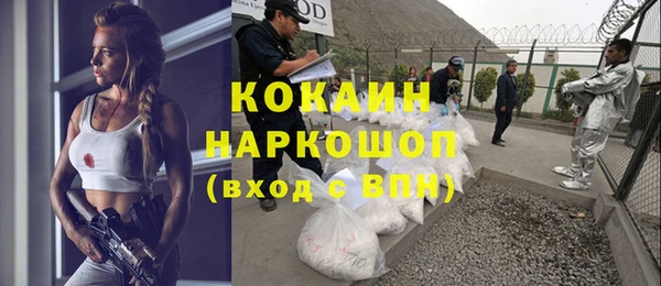 бошки Арсеньев