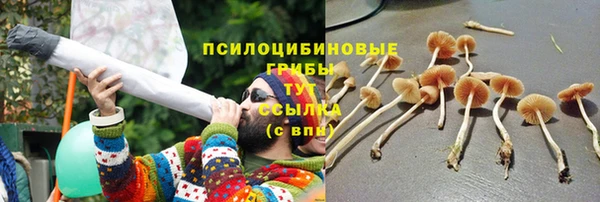 бошки Арсеньев